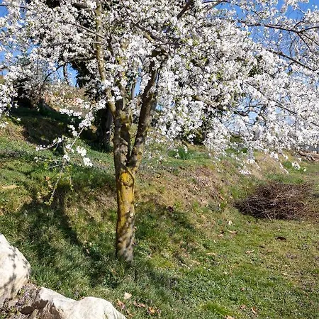 La Cascina Dei Ciliegi Appartamento Arona