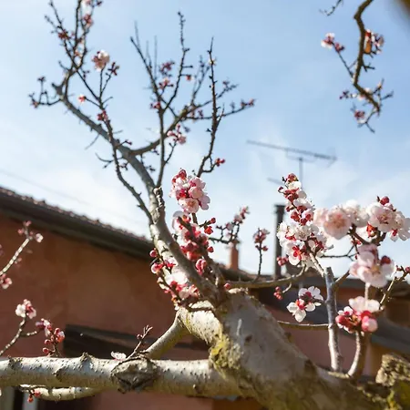 La Cascina Dei Ciliegi Apartment