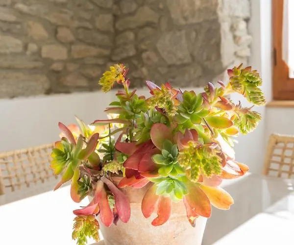 La Cascina Dei Ciliegi *