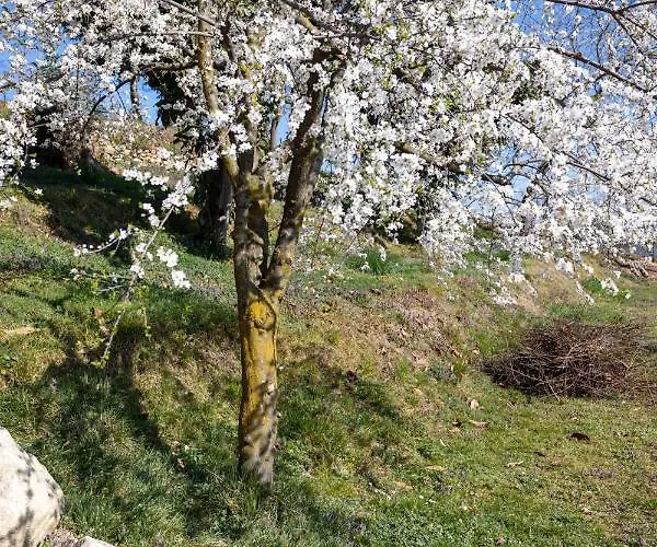 La Cascina Dei Ciliegi Apartament Arona