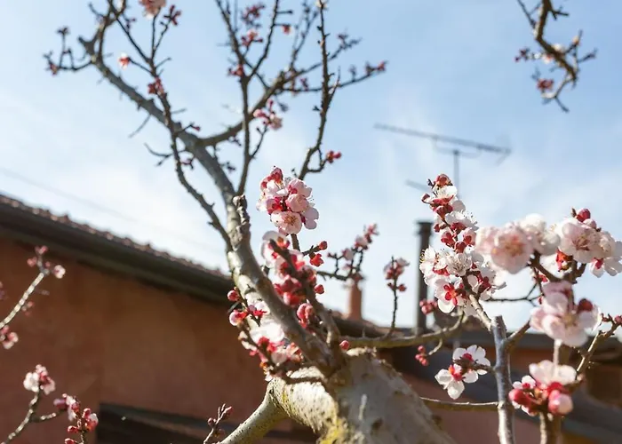 La Cascina Dei Ciliegi Apartamento